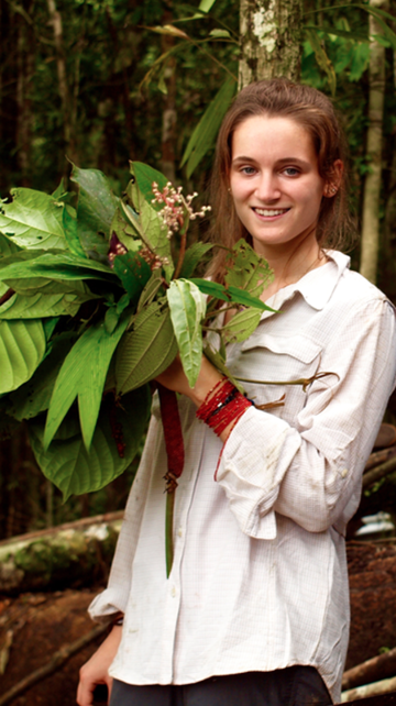 studying botanical specimens in south america narrow